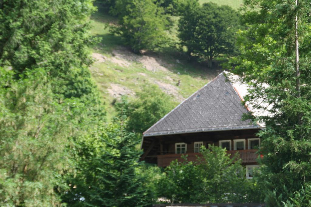Hotel Gasthaus Hirschen Im Hochschwarzwald Todtnau Nahe Feldberg المظهر الخارجي الصورة