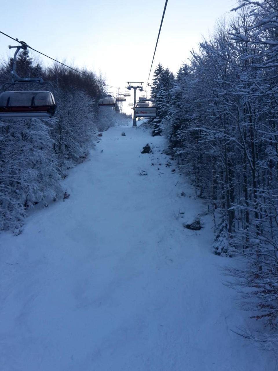 Hotel Gasthaus Hirschen Im Hochschwarzwald Todtnau Nahe Feldberg المظهر الخارجي الصورة