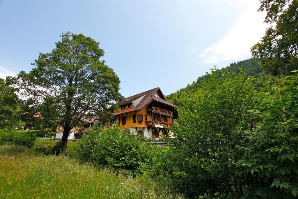 Hotel Gasthaus Hirschen Im Hochschwarzwald Todtnau Nahe Feldberg المظهر الخارجي الصورة